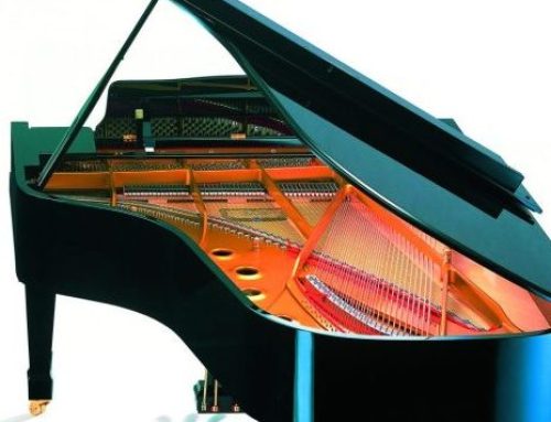 Pianos à queue, coups de cœur 2023