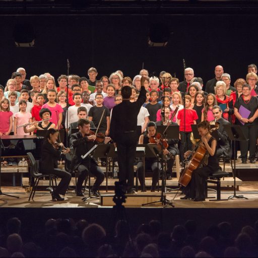 Orchestre de Poche ©Didier Bonnel