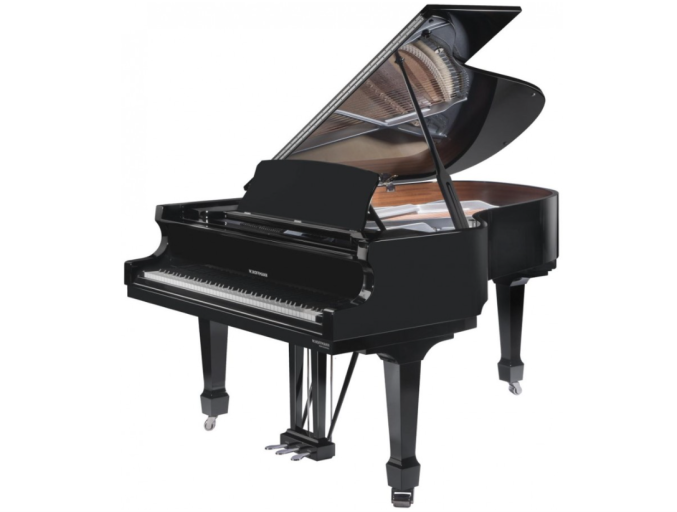 w-hoffmann-p162.jpg Piano W. Hoffmann de Bechstein ©SDP