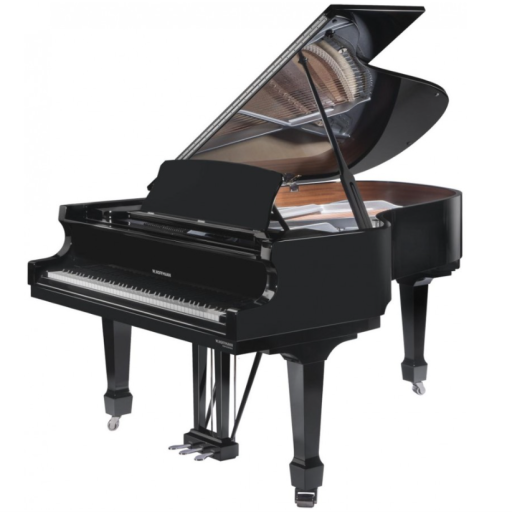 Piano W. Hoffmann de Bechstein ©SDP